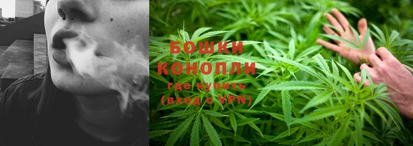 марки lsd Пересвет