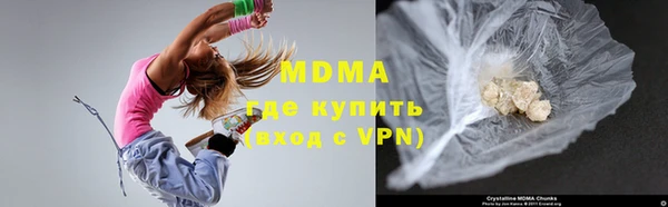 ГАЛЛЮЦИНОГЕННЫЕ ГРИБЫ Дмитриев