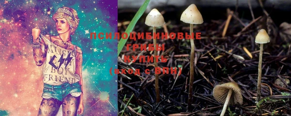 марки lsd Пересвет