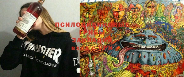 марки lsd Пересвет