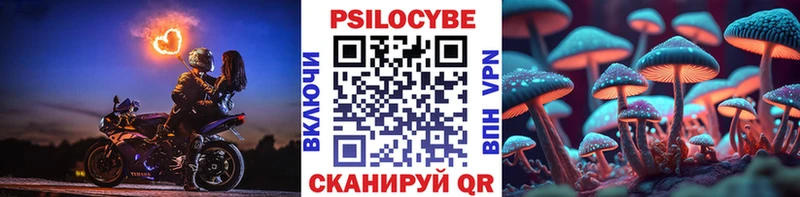 Псилоцибиновые грибы мицелий  Северобайкальск 