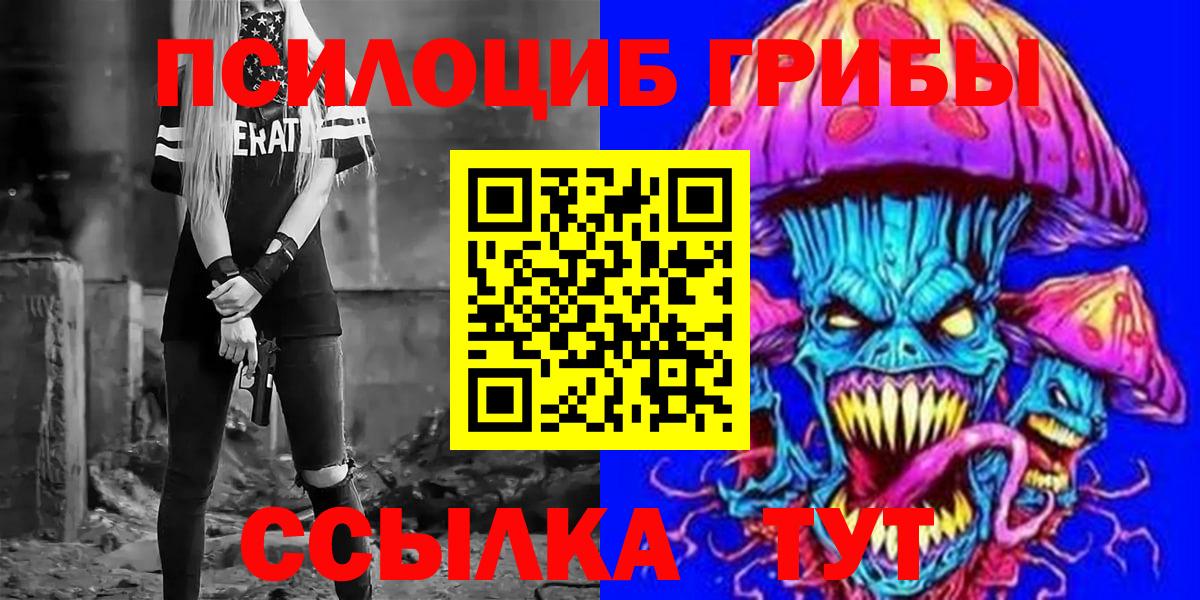 наркотики  Северобайкальск  Галлюциногенные грибы мицелий 