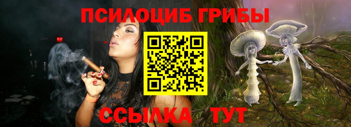 Галлюциногенные грибы ЛСД Северобайкальск