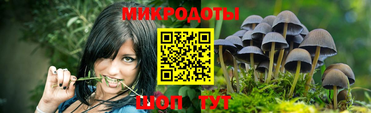 Галлюциногенные грибы мухоморы Северобайкальск